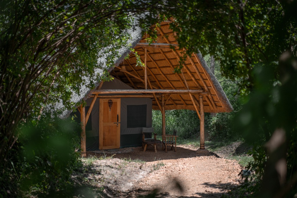 Forest-edge retreats — Bwindi & Volcanoes