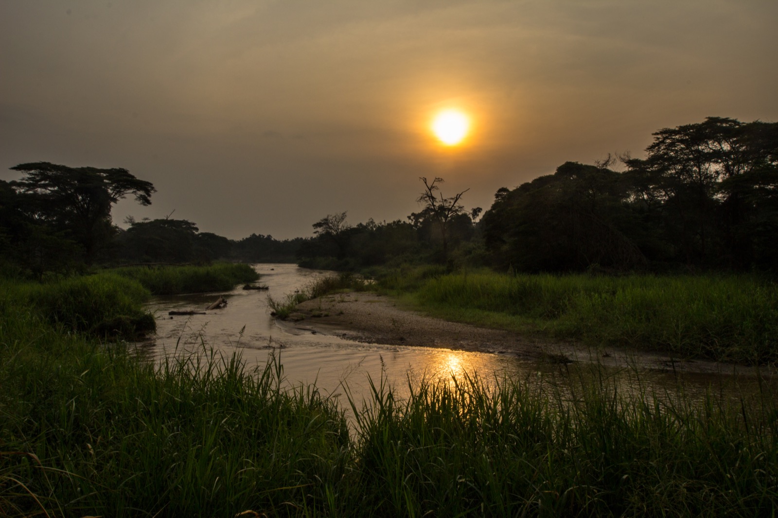 Ishasha sector — Queen Elizabeth National Park, Uganda