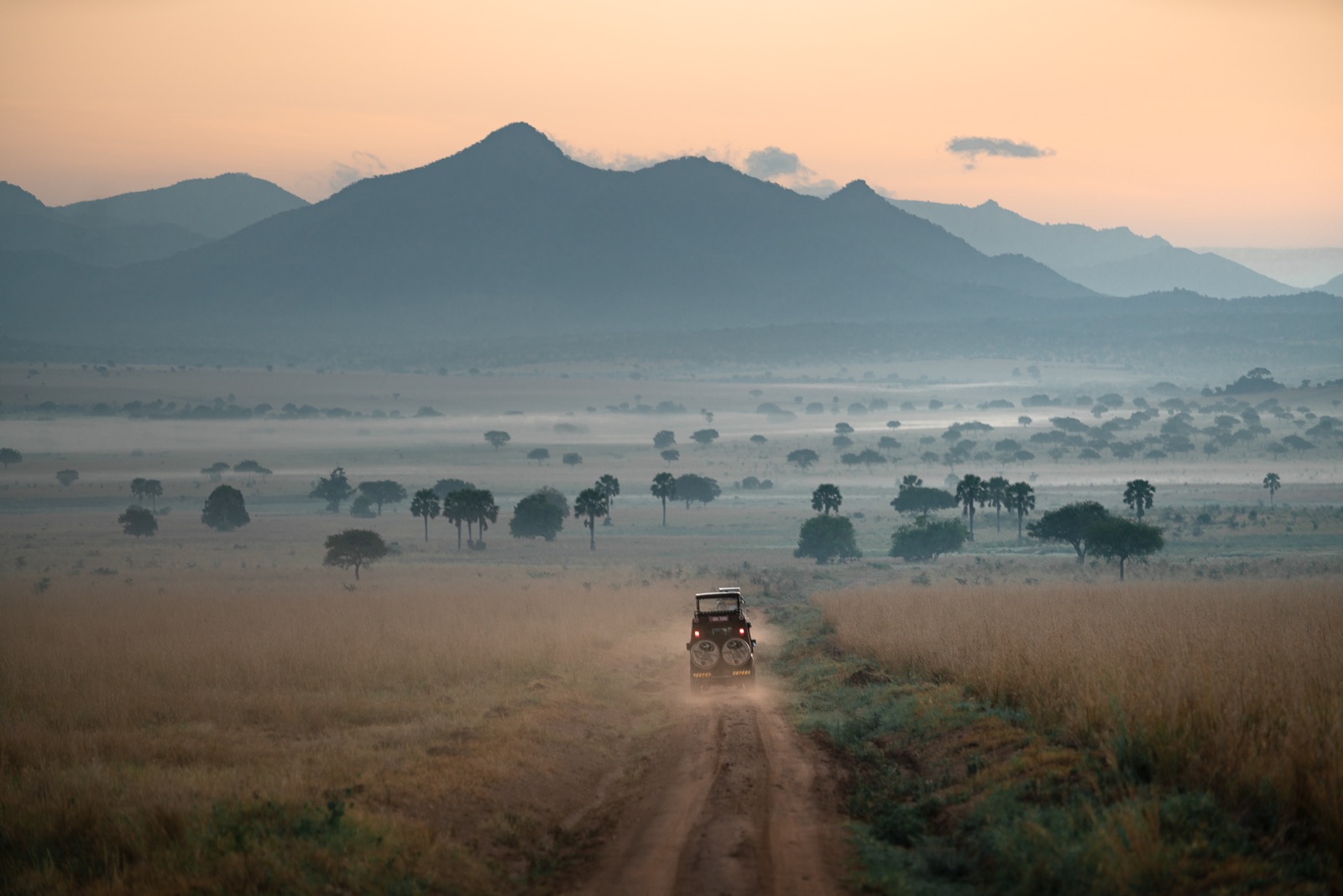 Wildlife on the East African savanna — Kidepo Valley, Uganda