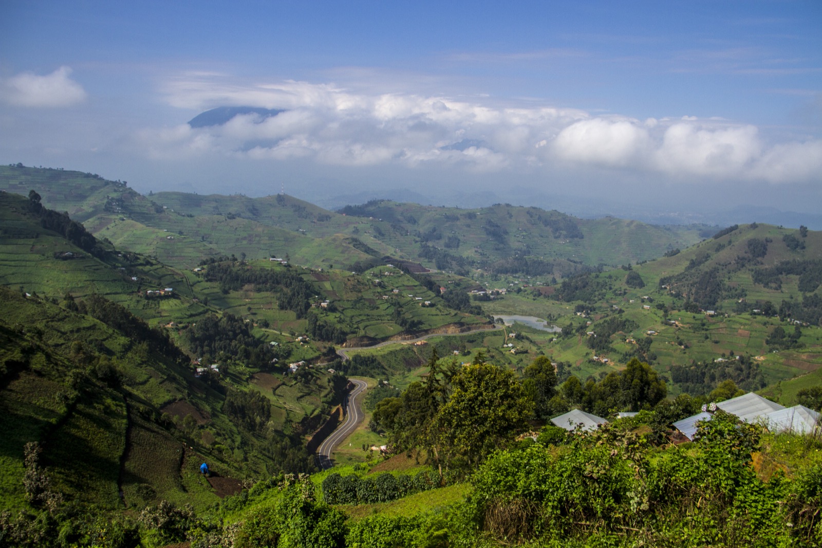 Western Uganda — Kibale, Queen Elizabeth, Bwindi, and Lake Mburo
