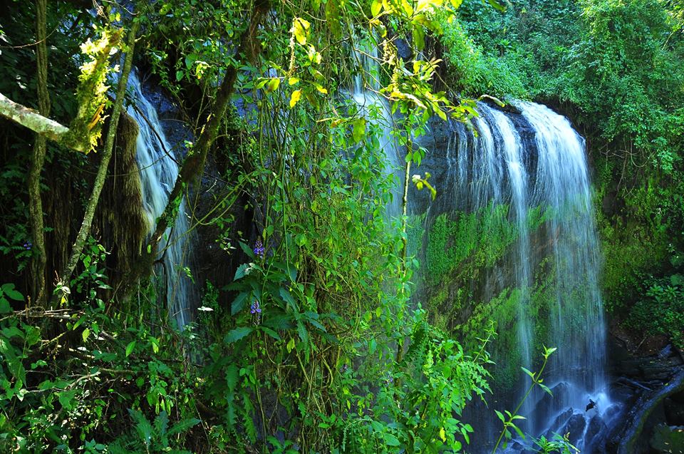Mount Elgon National Park — Uganda