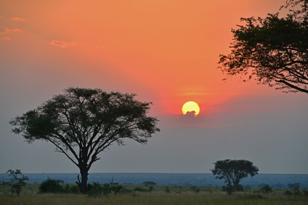 Sunset over the savanna