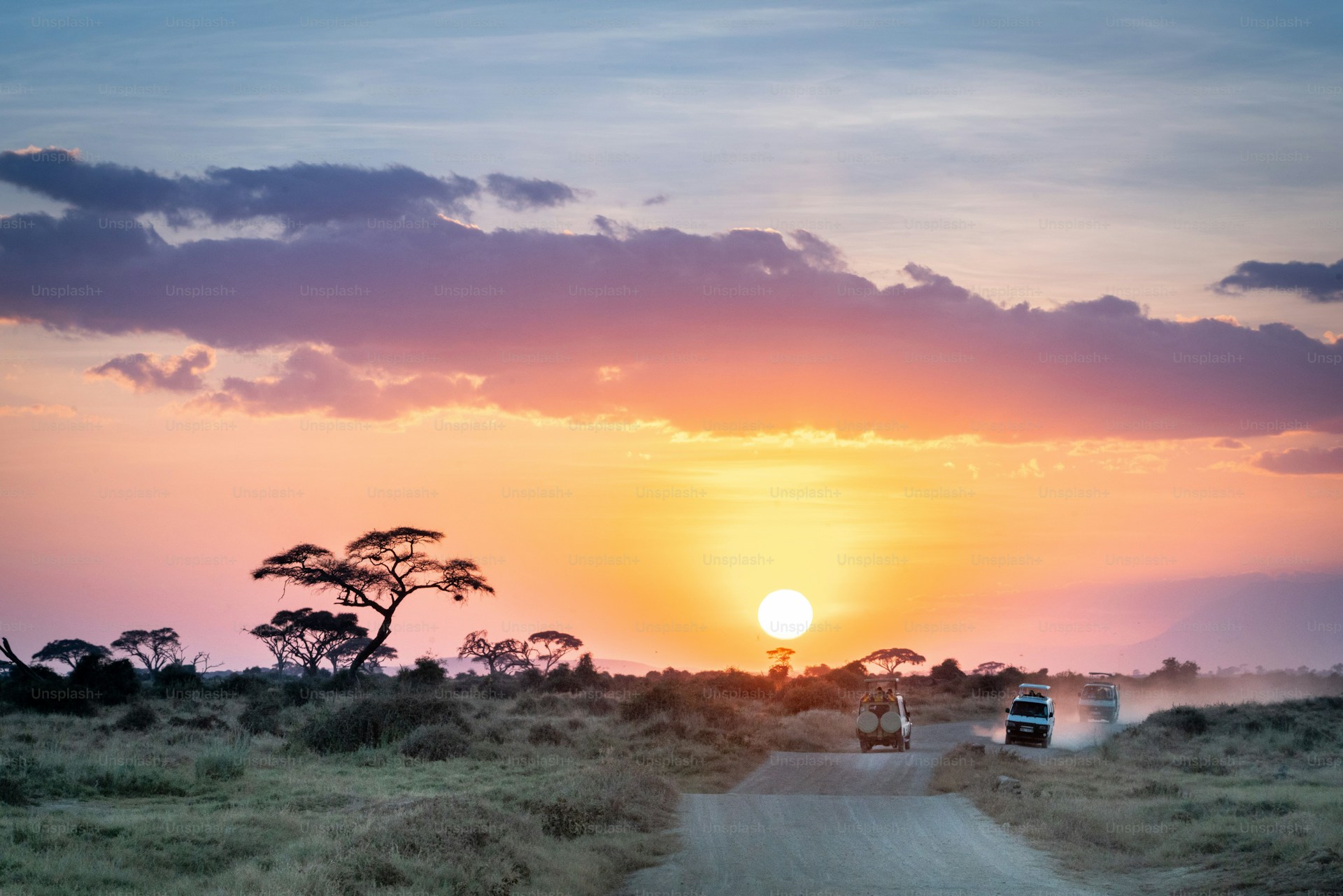 Maasai Mara savanna — fly-in safari with Bwindi gorillas, Kenya & Uganda