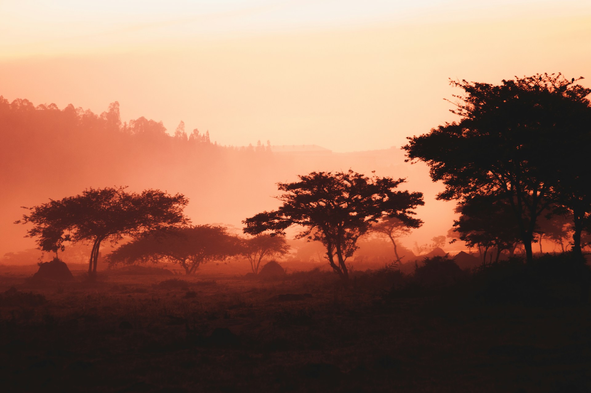 Misty Virunga volcanoes — Rwanda primate safari